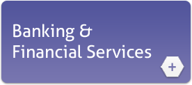 Banking and Financial Services
